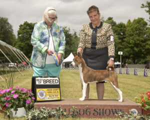 Best of Breed Freehold 2022 