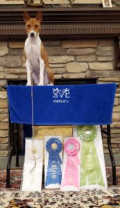 Group 1 Best in Show & Reserve  Best in Show Owner Handler