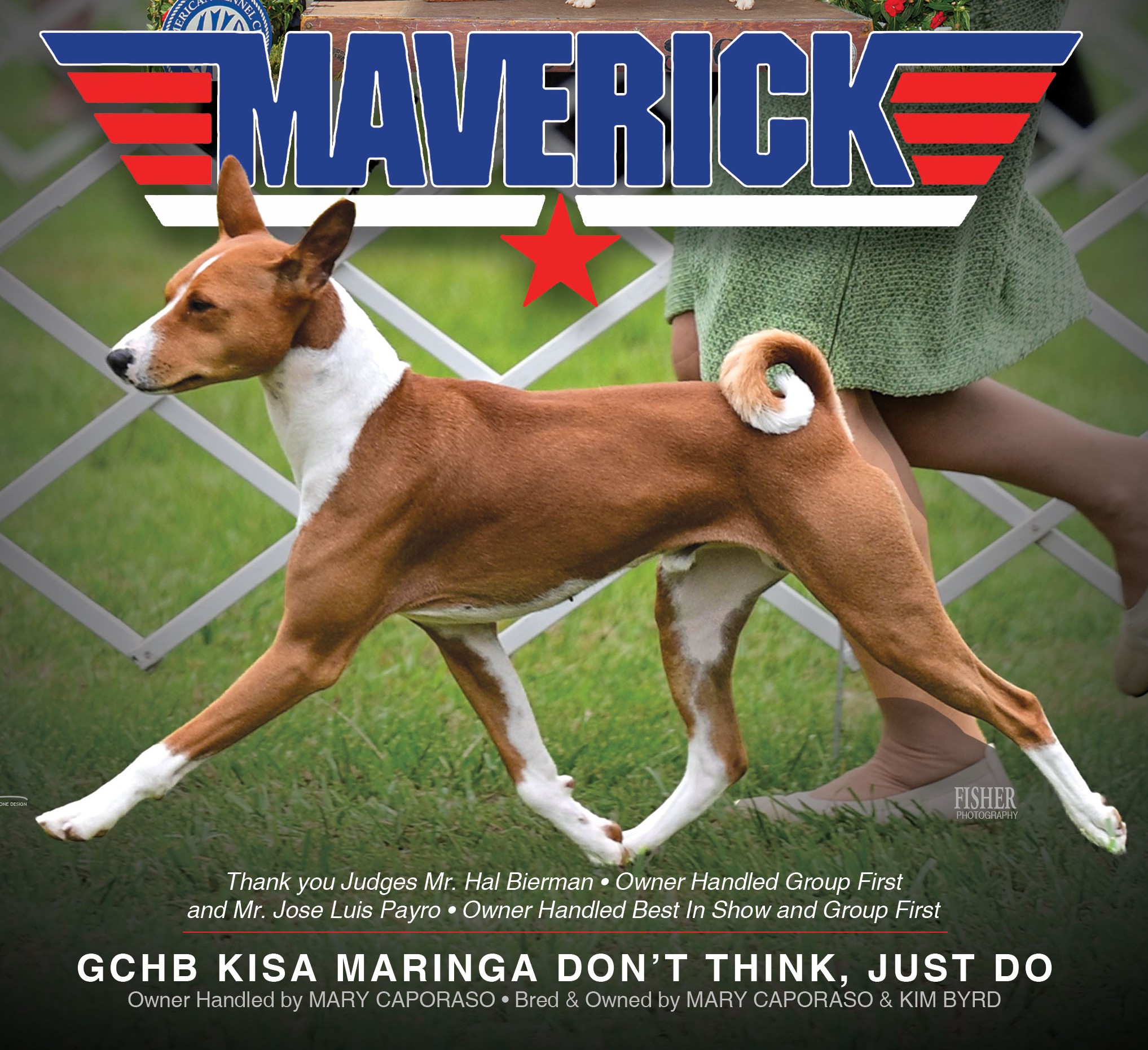 Maverick Ad movement only Maverick Turns and Burns!