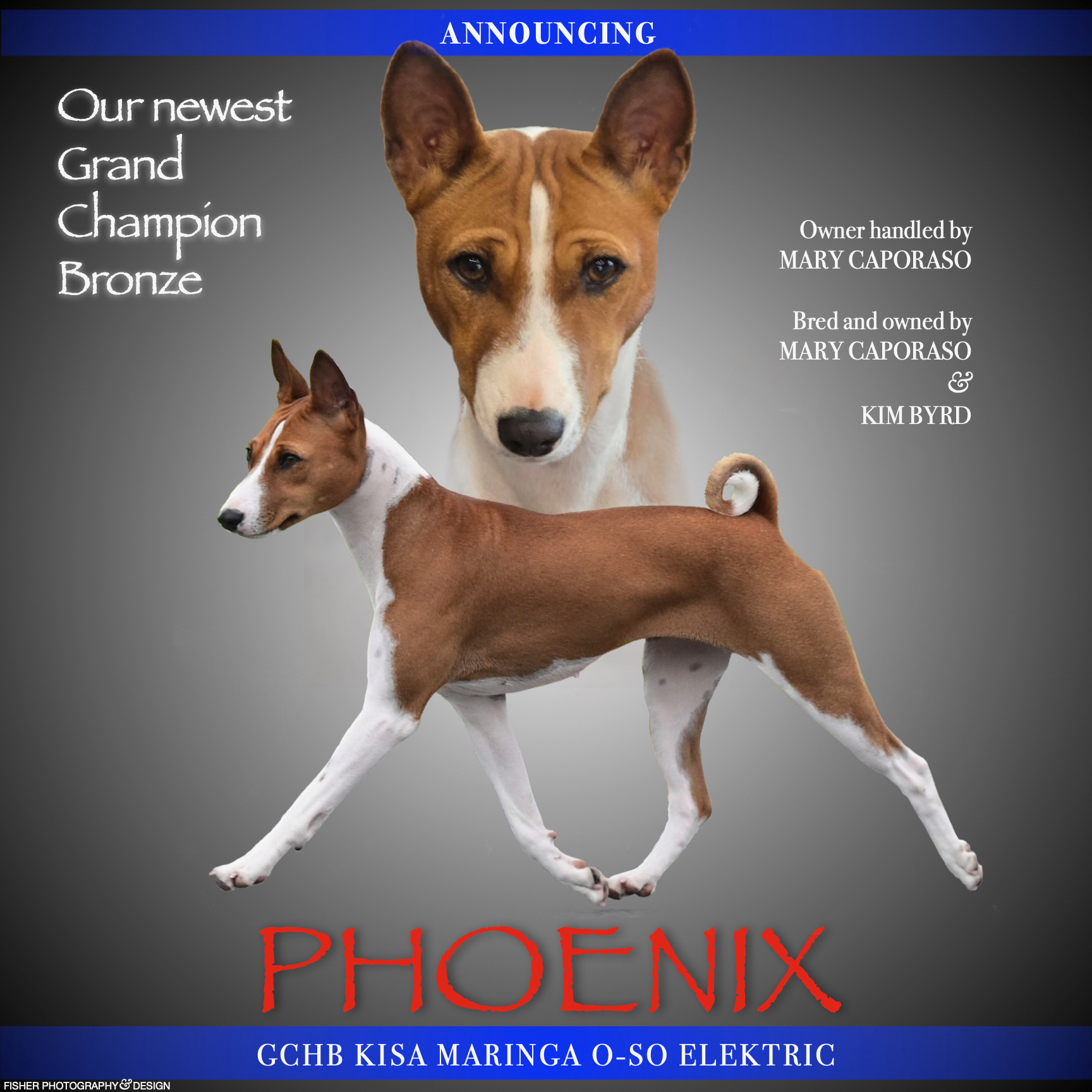 GCHB CH KISA Maringa O-SO Elektric  BCAT "Phoenix" 