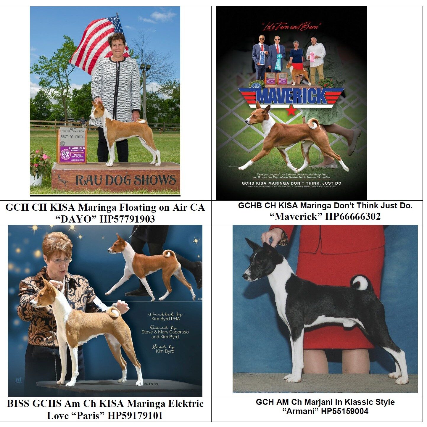These Grand Champions are expected to produce Red & Whites and Black & Whites